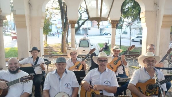 Violeiros nova