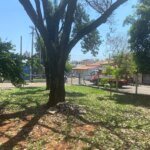 Projeto MoVer promove plantio de 35 mudas de árvores nativas em escola de Americana 10 WhatsApp Image 2026 10 02 at 14.12.54 2