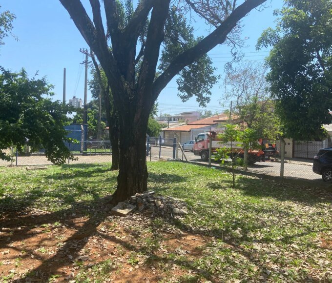 Projeto MoVer promove plantio de 35 mudas de árvores nativas em escola de Americana 14 WhatsApp Image 2026 10 02 at 14.12.54 2