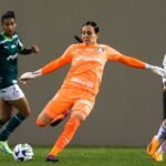 goleira tapia palmeiras