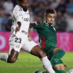 Palmeiras empata sem gols com o Santos pelo Brasileirão e favorece o Flamengo 10 palmeiras brasileirao