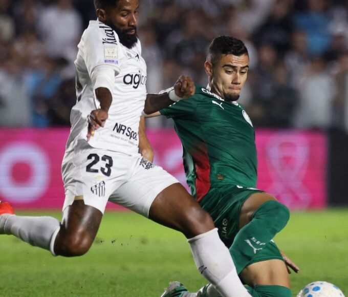 palmeiras brasileirao