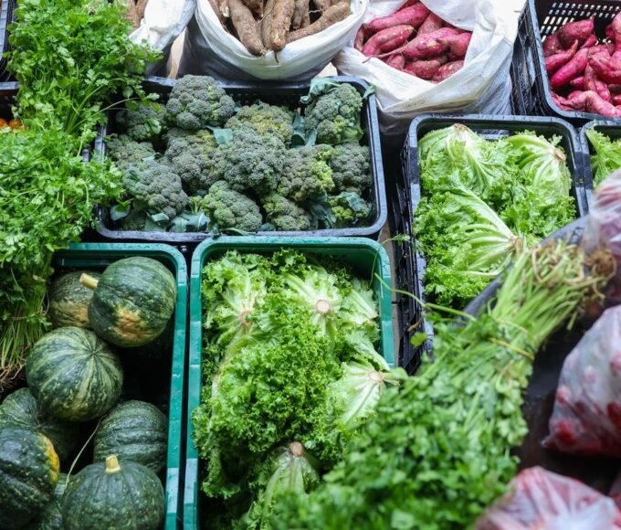Segurança alimentar demanda esforço coletivo e articulação estratégica 14 pzzb7591