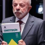 sem titulo 6 1