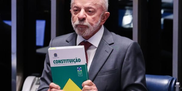 sem titulo 6 1